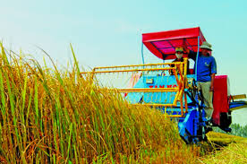 Nhiều ưu đãi cho DN đầu tư về nông nghiệp, nông thôn